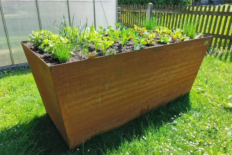 Cortenstahl Hochbeet bepflanzt vor Gewächshaus