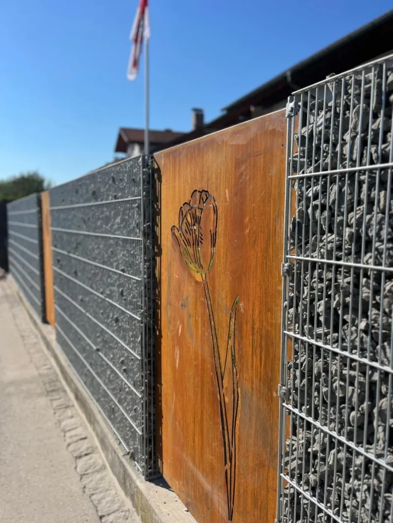 Sichtschutz Cortenstahl Tulpe in Gabionenzaun